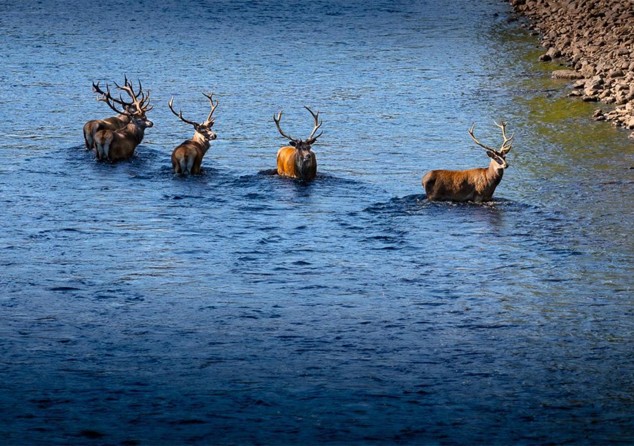 Loch Rannoch Hotel And Spa Кінлок-Раннок Екстер'єр фото